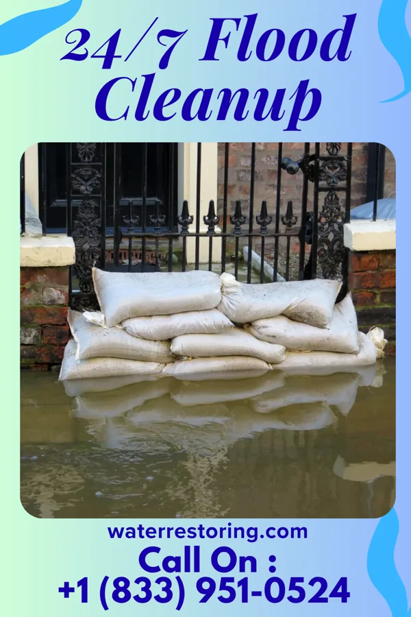 24/7 Flood Cleanup in Dyer, TN