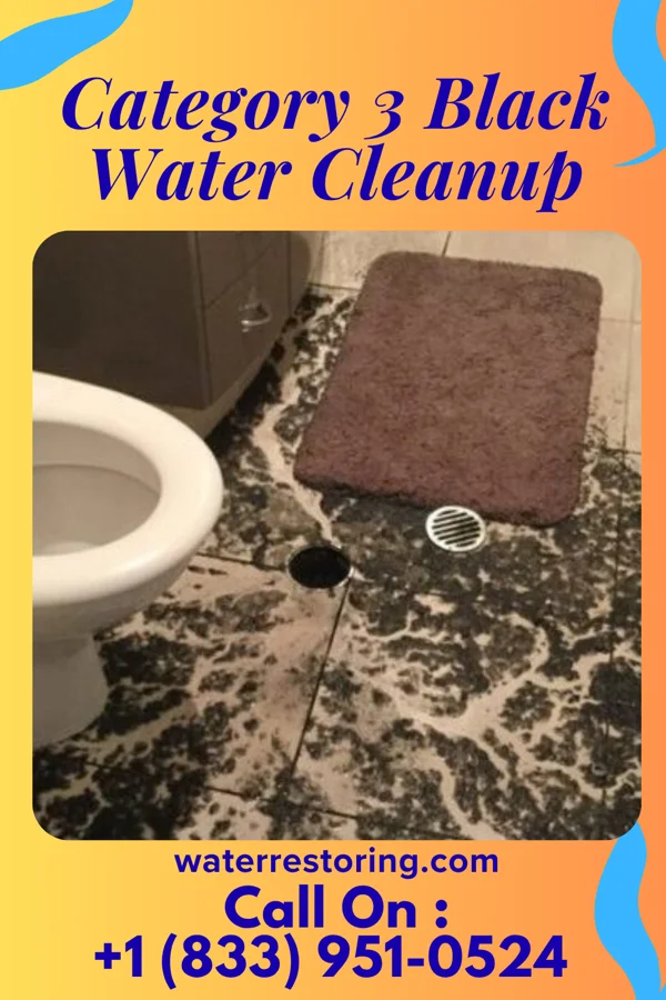 Category 3 Black Water Cleanup in Dyer, TN