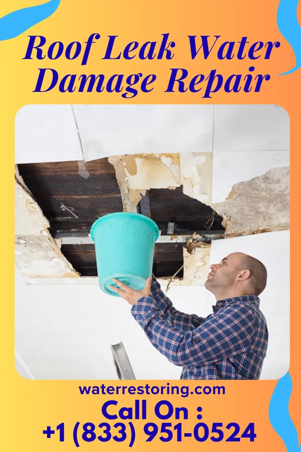 Roof Leak Water Damage Repair in Dyer, TN